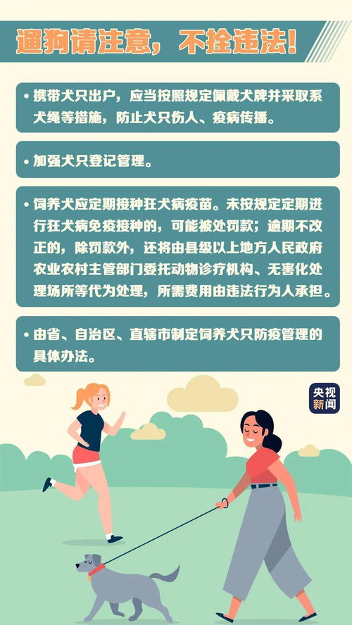 孕期最后阶段的贴心守护，全面指南与实用建议