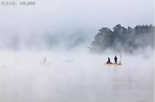 在安乐窝中寻找生活的诗意——深度探讨舒适生活与品质人生