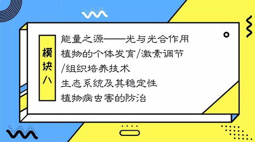 揭秘科学育儿，生男孩的那些小秘密与科学策略