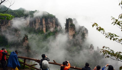 剑门道中遇微雨，一场别致的自然洗礼