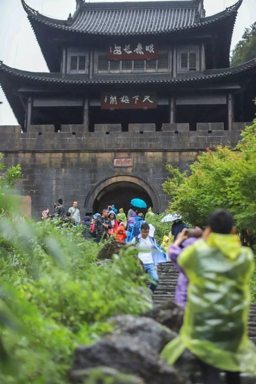 剑门道中遇微雨，一场别致的自然洗礼