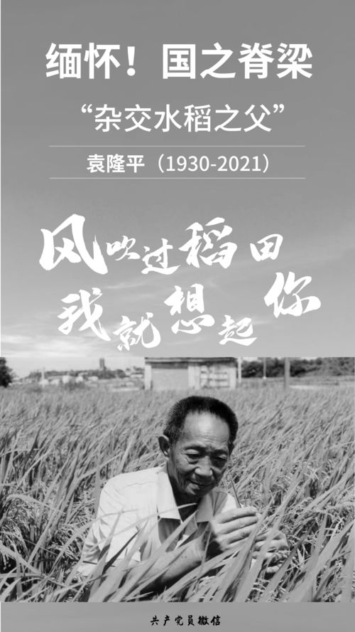 王富中逝世，缅怀一位时代先锋的离去