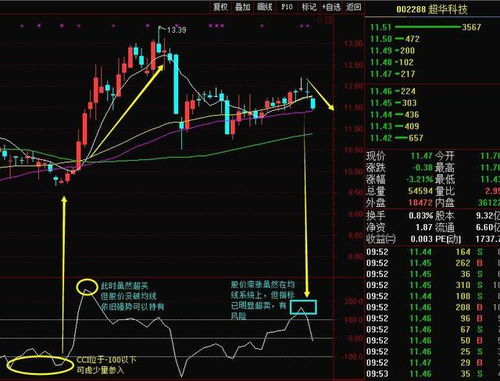 小米股价大跌的背后原因与未来展望