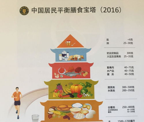 孕期饮食指南，科学规避禁忌，保障母婴健康