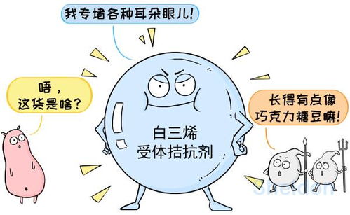 孕妇上火，科学应对与调养策略全解析