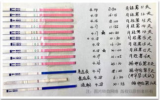 精准掌握生育节奏，全面解析排卵试纸与怀孕检测的科学指南