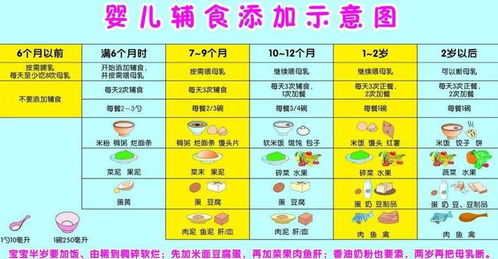 宝宝四月龄，开启营养探索之旅—科学引导辅食添加指南